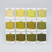 Yellow-Green Gradient 12-Color Set