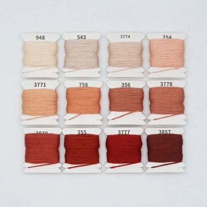 12-color gradient 6-strand cotton embroidery floss set in earthy tones.